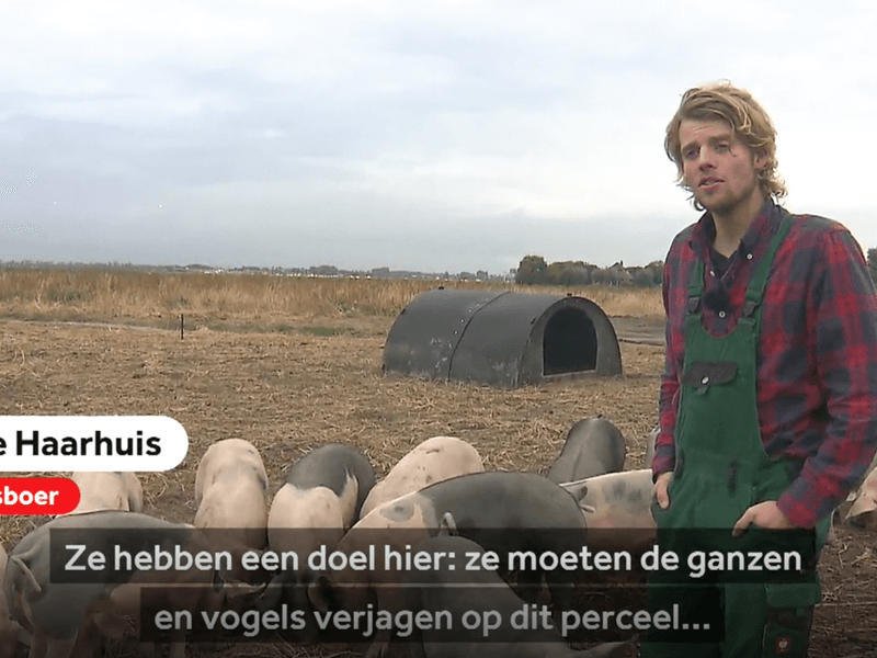 De Buitengewone Varkens – Dry Sausages — image 2
