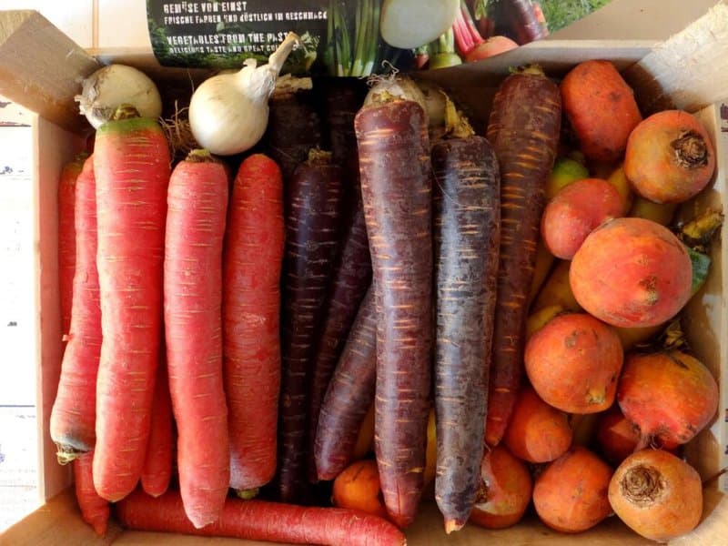 Wilde Wortelen – Rainbow-Carrot Lemonade — image 1