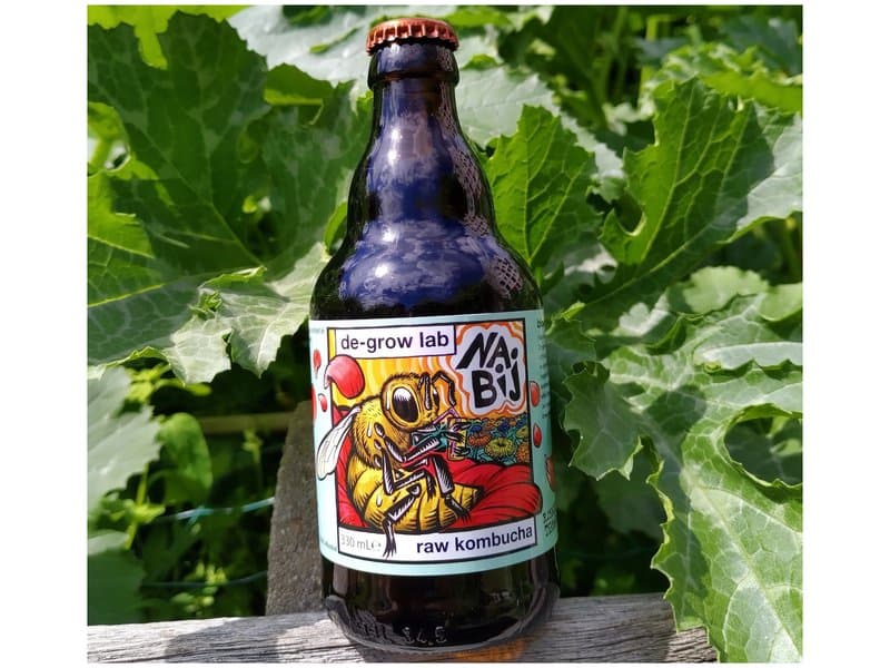 Nabij Kombucha by De-Grow Lab