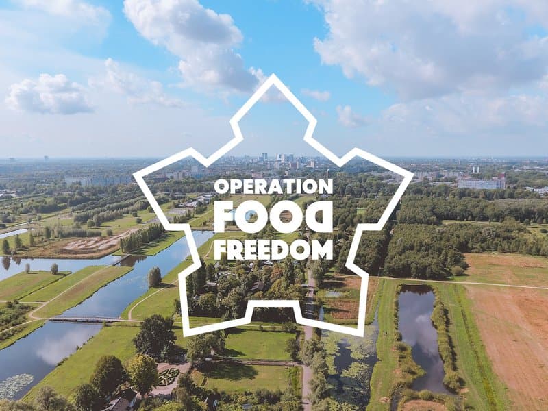 Operation Food Freedom – Grounded Veg Boxes