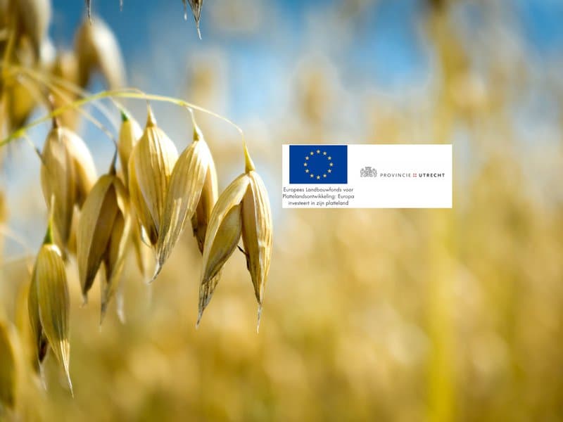 Waterlinie Oat Beer – New Dutch Waterline — image 1