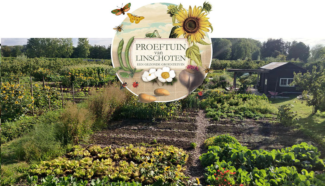 Jelte Boon — Proeftuin van Linschoten